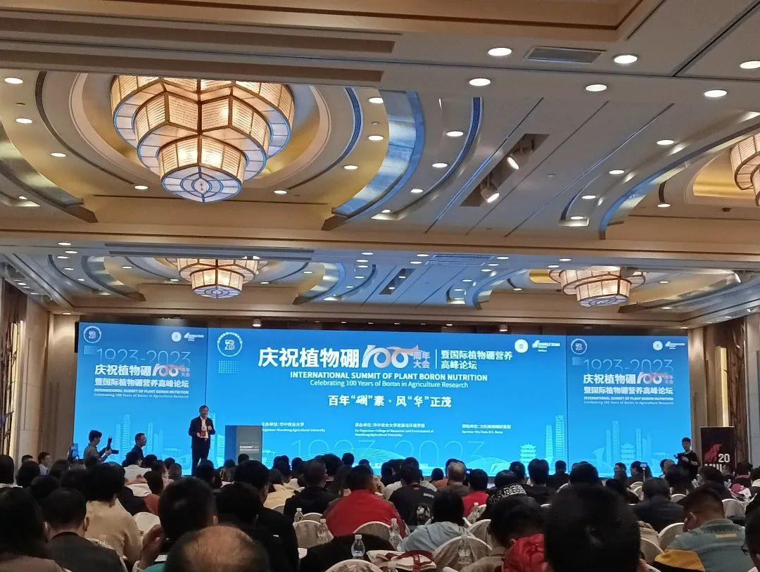 CA88(中国区)唯一官方网站